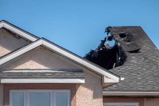 Top rated local Board Up Services specialists in Millstone Township, NJ
